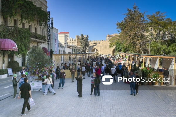 İçərişəhərdə keçirilən Zeytun Festivalı