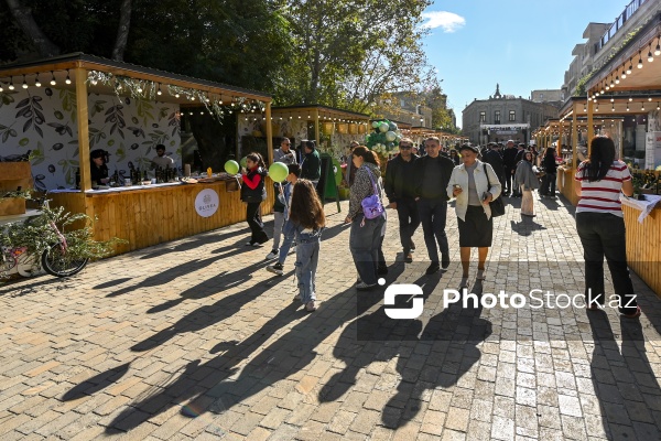 İçərişəhərdə keçirilən Zeytun Festivalı