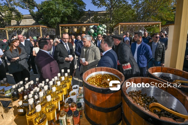 İçərişəhərdə keçirilən Zeytun Festivalı