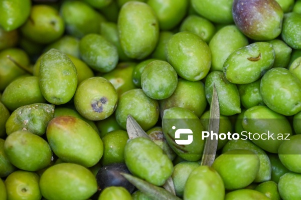 İçərişəhərdə keçirilən Zeytun Festivalı