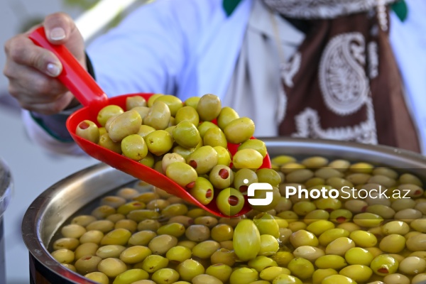 İçərişəhərdə keçirilən Zeytun Festivalı