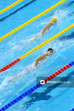 III MDB Oyunları: Üzgüçülük üzrə yarışlar