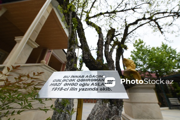 İki dəfə Sovet İttifaqı Qəhrəmanı Həzi Aslanovun Lənkəranda yerləşən ev-muzeyi