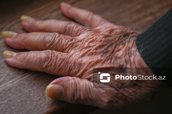 İkinci Dünya müharibəsinin 104 yaşlı veteranı Tamleyxa Həsənov