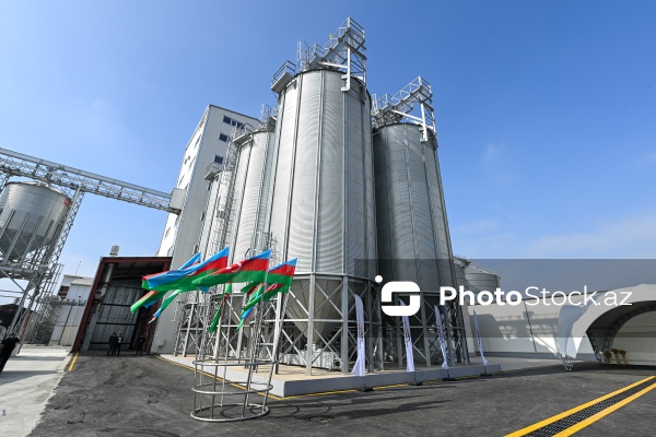 İmişli rayonuna təşkil olunan mediatur