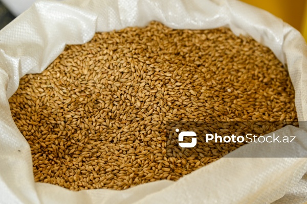 İmişli rayonuna təşkil olunan mediatur