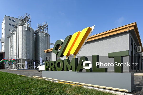 "Promalt" MMC-nin binası