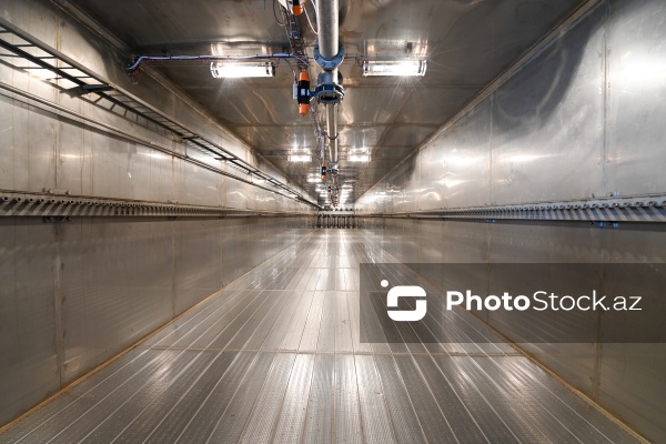 İmişli rayonuna təşkil olunan mediatur