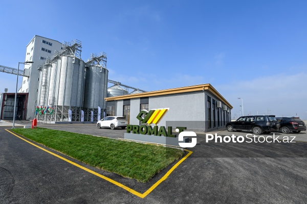 "Promalt" MMC-nin binası