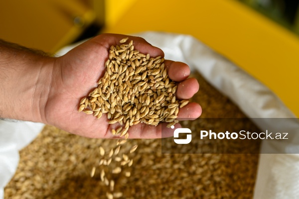 İmişli rayonuna təşkil olunan mediatur