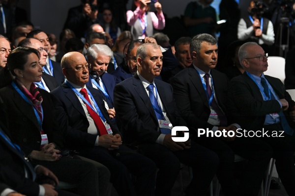 “İqlim dəyişikliyi ilə mübarizədə hüquq mühafizə orqanlarının səfərbər olunması” adlı sessiya