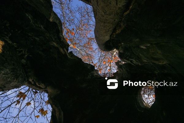 “Basqal” Dövlət Tarix-Mədəniyyət qoruğuna təşkil olunan mediatur