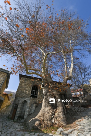 “Basqal” Dövlət Tarix-Mədəniyyət qoruğuna təşkil olunan mediatur