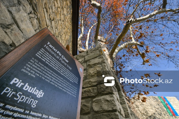 “Basqal” Dövlət Tarix-Mədəniyyət qoruğuna təşkil olunan mediatur