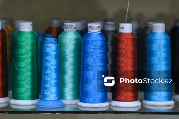 Ənənəvi və müasir üsullarla naxış sənətini yaşadan Kamilə Quliyeva