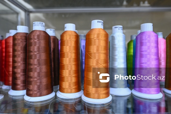 Ənənəvi və müasir üsullarla naxış sənətini yaşadan Kamilə Quliyeva