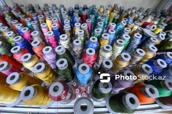 Ənənəvi və müasir üsullarla naxış sənətini yaşadan Kamilə Quliyeva