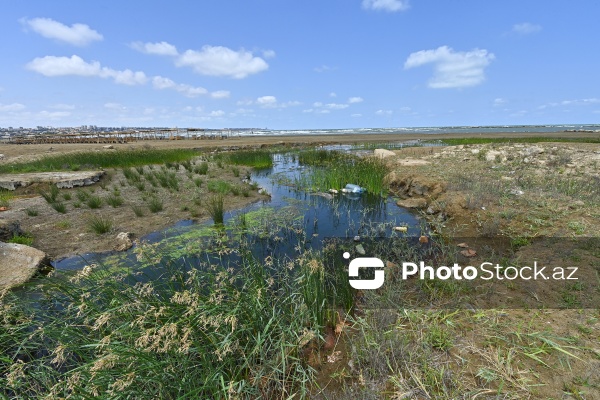 Kanalizasiya sularının axıdıldığı Buzovna çimərliyi