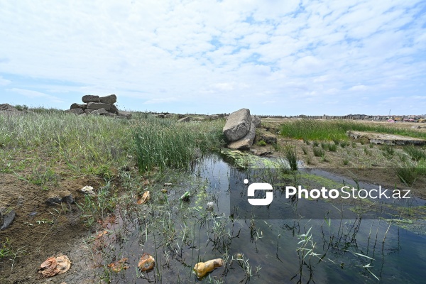 Kanalizasiya sularının axıdıldığı Buzovna çimərliyi