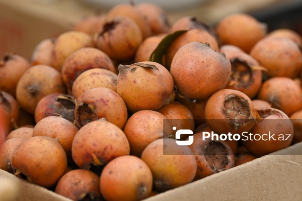 Kənd Təsərrüfatı Nazirliyinin təşkil etdiyi "Mövsüm yarmarkası"