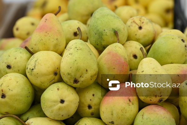 Kənd Təsərrüfatı Nazirliyinin təşkil etdiyi "Mövsüm yarmarkası"