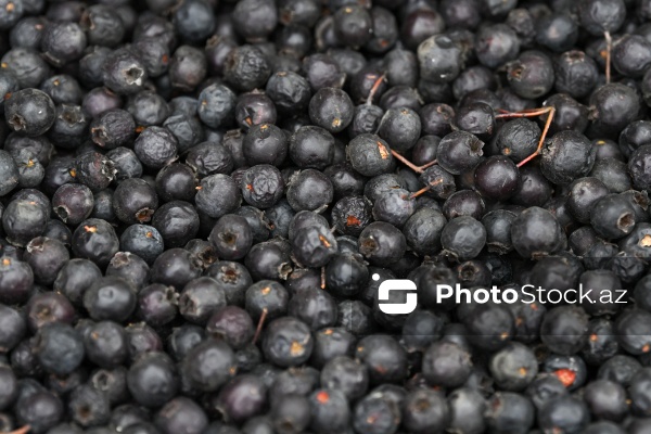 Kənd Təsərrüfatı Nazirliyinin təşkil etdiyi "Mövsüm yarmarkası"