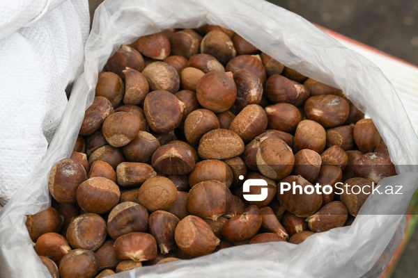 Kənd Təsərrüfatı Nazirliyinin təşkil etdiyi "Mövsüm yarmarkası"