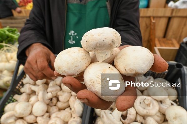 Kənd Təsərrüfatı Nazirliyinin təşkil etdiyi "Mövsüm yarmarkası"