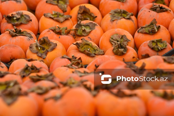 Kənd Təsərrüfatı Nazirliyinin təşkil etdiyi "Mövsüm yarmarkası"