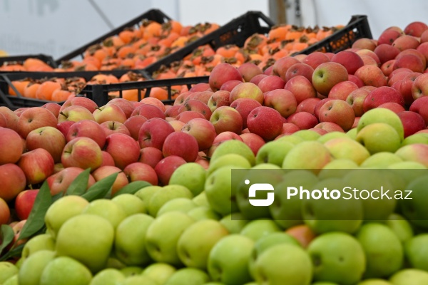 Kənd Təsərrüfatı Nazirliyinin təşkil etdiyi "Mövsüm yarmarkası"