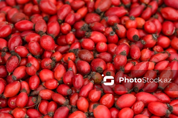 Kənd Təsərrüfatı Nazirliyinin təşkil etdiyi "Mövsüm yarmarkası"