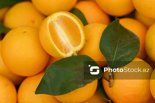 Kənd Təsərrüfatı Nazirliyinin təşkil etdiyi "Mövsüm yarmarkası"