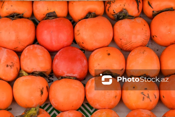 Kənd Təsərrüfatı Nazirliyinin təşkil etdiyi "Mövsüm yarmarkası"