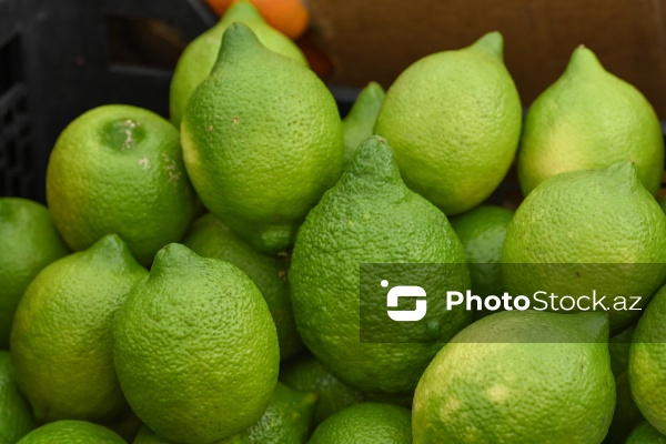 Kənd Təsərrüfatı Nazirliyinin təşkil etdiyi "Mövsüm yarmarkası"