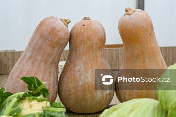 Kənd Təsərrüfatı Nazirliyinin təşkil etdiyi "Mövsüm yarmarkası"
