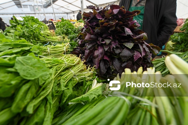 Kənd Təsərrüfatı Nazirliyinin təşkil etdiyi "Mövsüm yarmarkası"