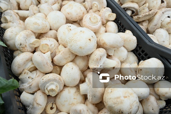 Kənd Təsərrüfatı Nazirliyinin təşkil etdiyi "Mövsüm yarmarkası"