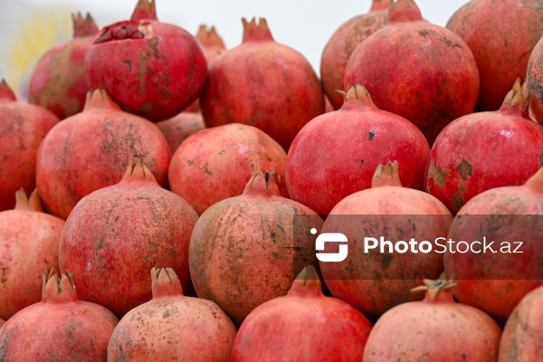 Kənd Təsərrüfatı Nazirliyinin təşkil etdiyi "Mövsüm yarmarkası"