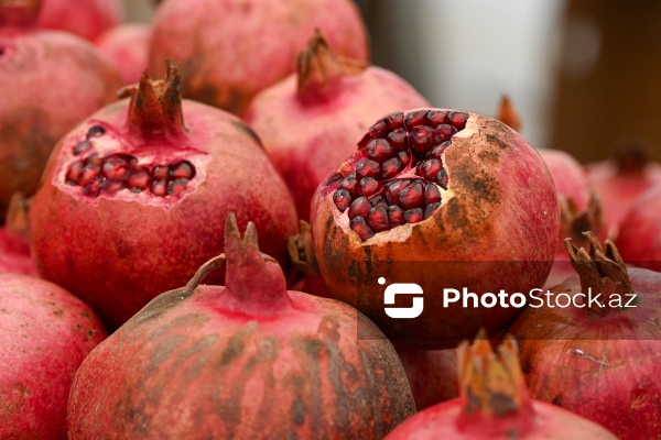 Kənd Təsərrüfatı Nazirliyinin təşkil etdiyi "Mövsüm yarmarkası"