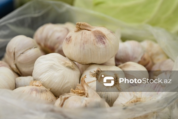 Kənd Təsərrüfatı Nazirliyinin təşkil etdiyi "Mövsüm yarmarkası"