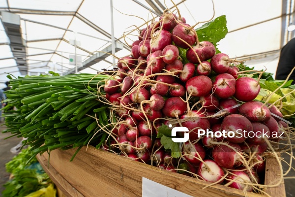 Kənd Təsərrüfatı Nazirliyinin təşkil etdiyi "Mövsüm yarmarkası"
