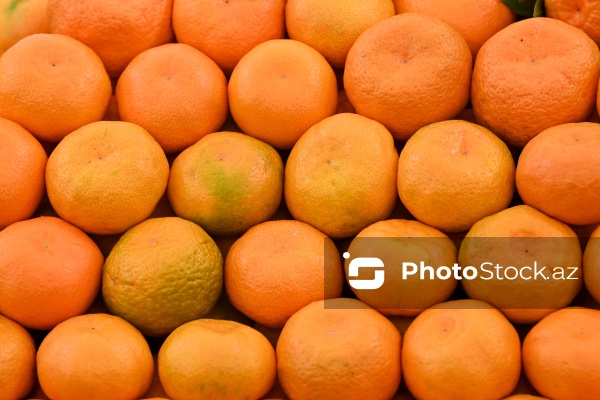 Kənd Təsərrüfatı Nazirliyinin təşkil etdiyi "Mövsüm yarmarkası"