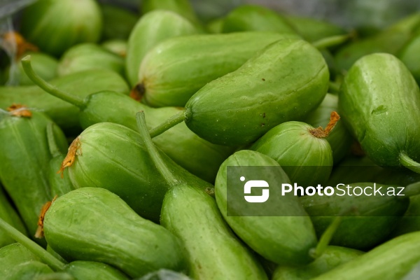 Kənd Təsərrüfatı Nazirliyinin təşkil etdiyi "Mövsüm yarmarkası"