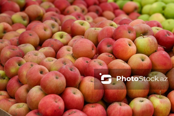 Kənd Təsərrüfatı Nazirliyinin təşkil etdiyi "Mövsüm yarmarkası"