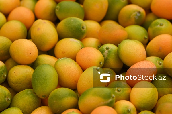 Kənd Təsərrüfatı Nazirliyinin təşkil etdiyi "Mövsüm yarmarkası"