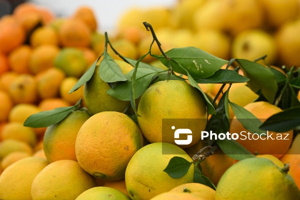 Kənd Təsərrüfatı Nazirliyinin təşkil etdiyi "Mövsüm yarmarkası"