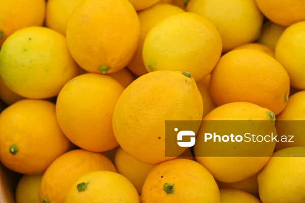 Kənd Təsərrüfatı Nazirliyinin təşkil etdiyi "Mövsüm yarmarkası"