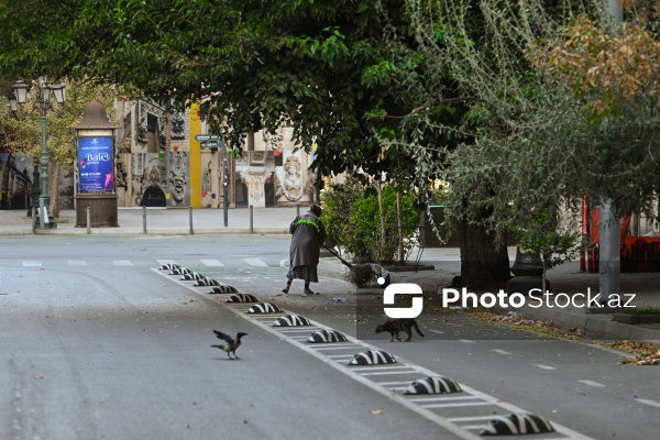 Günün erkən saatlarında işə başlayan kommunal xidmət işçiləri