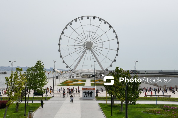 "Küləyə qalib gəl" şüarı ilə keçirilən "Bakı Marafonu 2025"