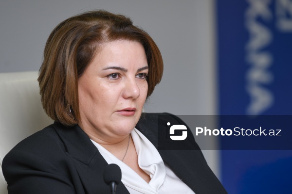 Vüsalə Mahirqızı - "APA Media Group”un baş direktoru